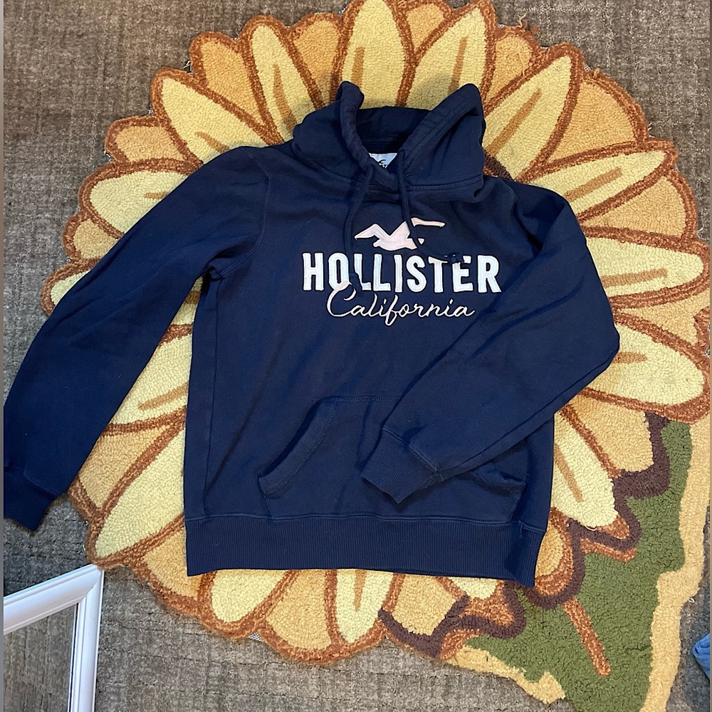 Hollister Hoodie